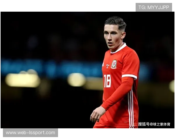 哈里·威尔逊帽子戏法，威尔士大胜锁定附加赛资格